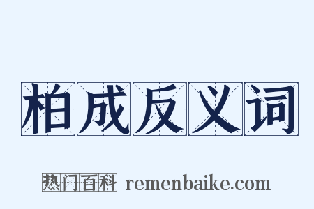 柏成反义词是什么意思的图片